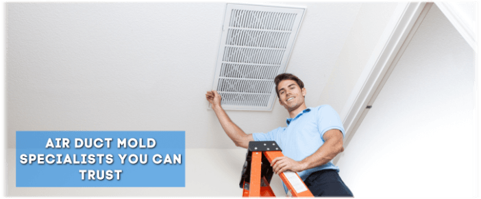 Air Duct Mold Removal in Prosper TX