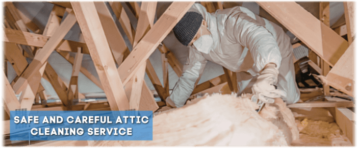 Attic Cleaning Prosper TX