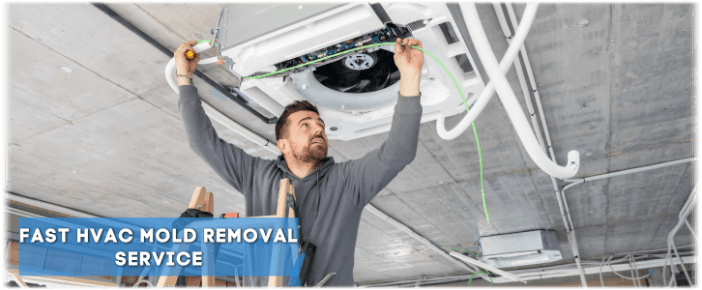 HVAC Mold Removal Prosper TX